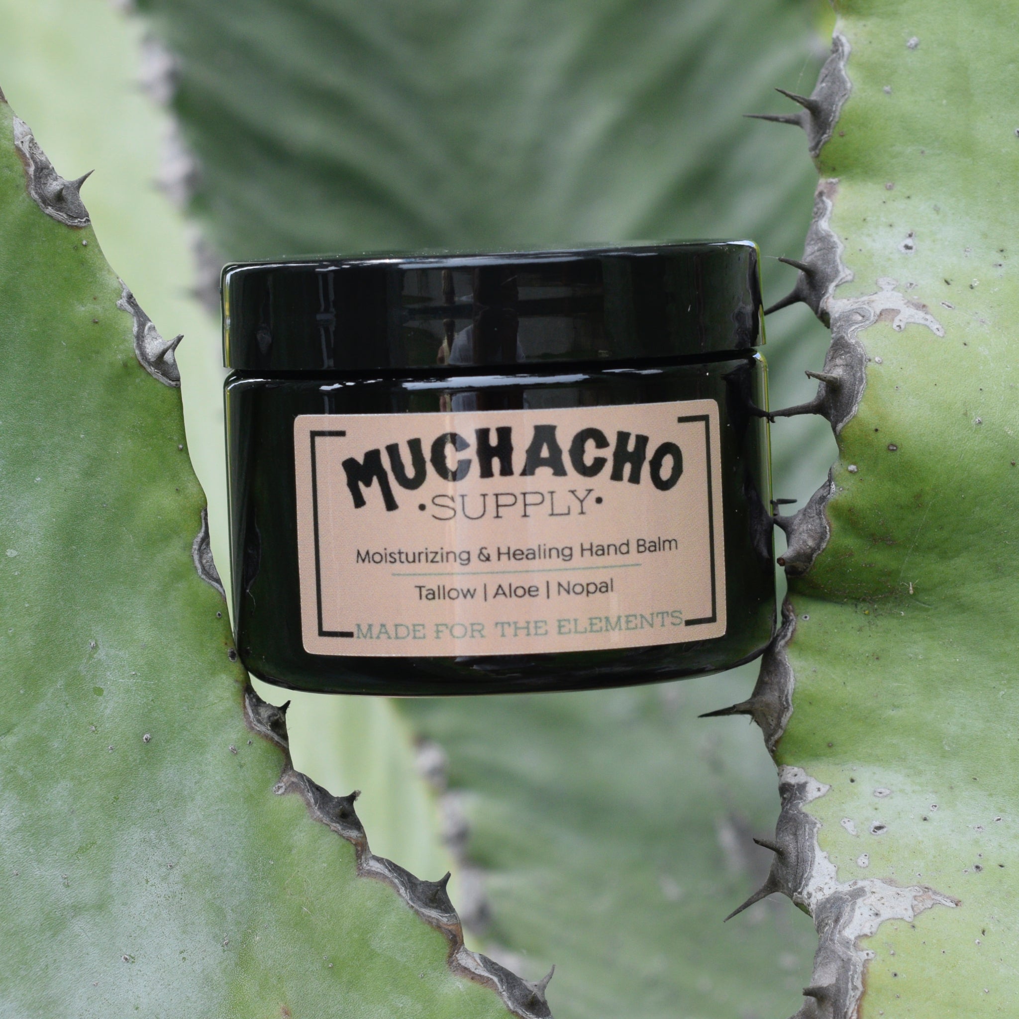 Tallow hand balm salve